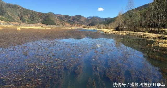 四川境内的泸沽湖已变质，当地孩子缠着游客卖东西，游客苦不堪言