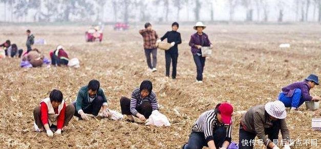 五年后，农村最值钱的不是楼房和汽车，而是这三样东西？