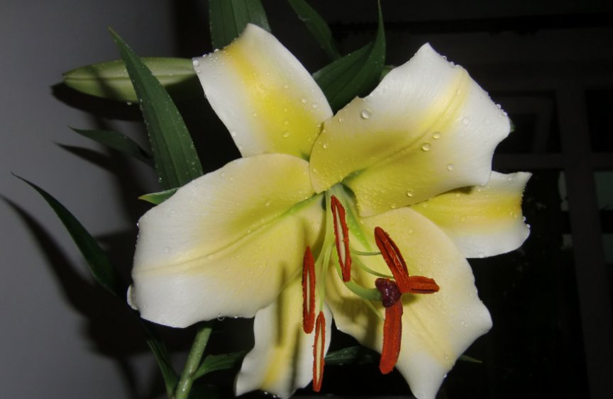 非处不娶!有处女情结的三大生肖男!