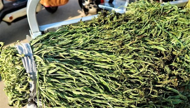  「种植」农村大叔种植特色，7亩收入70000元，种植秘诀在哪里