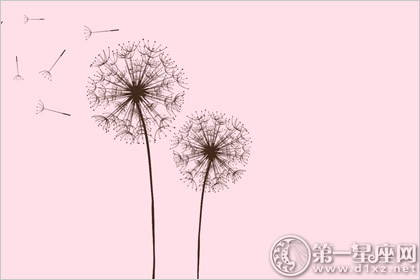 2019年你的桃花最强档期会是在何时