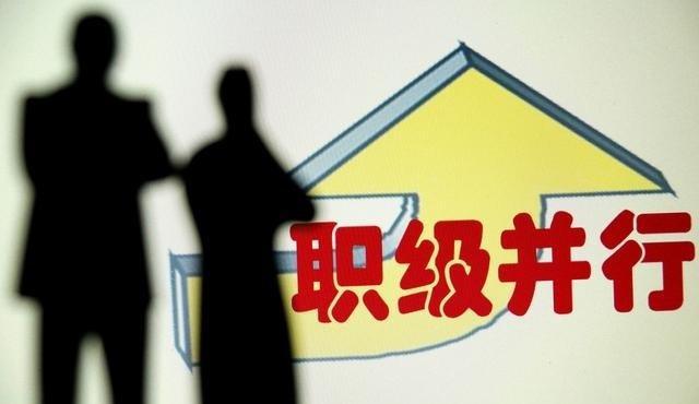 职级并行即将落地，如何套改，理解不同套改结果大不同