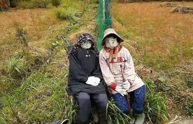 最诡异的日本村庄，猛地一看到处是人，仔细一看后背一凉