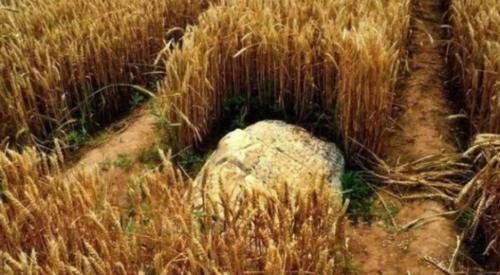 世界上最“迷你”的山，一脚就可以登上山顶，如今成为保护景观！