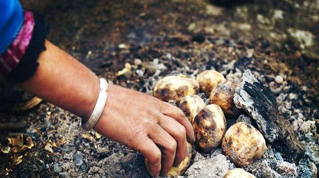  吃香■3年内，这几个项目在农村很吃香，年赚10万不难