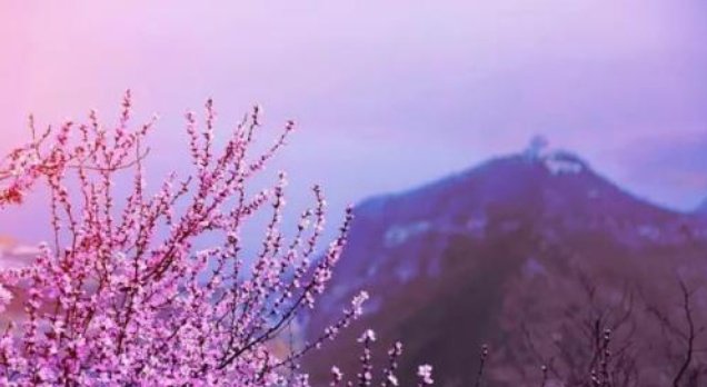 12星座专属“国内度假胜地”巨蟹座美丽香格里拉，射手座大草原