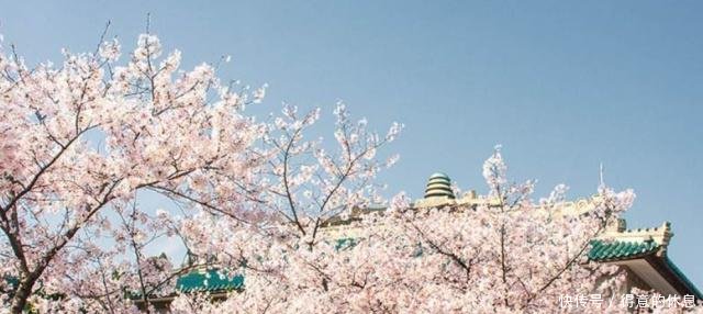 成都太争气了，清明节国内游盛地排名，咱成都排第三！