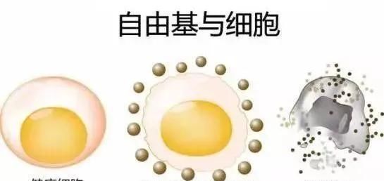  [皮肤]壹知肤：抗皮肤衰老，我们到底在抗什么？