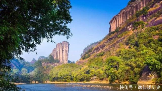  有钱：中国最珍稀的植物，曾一根分枝都能卖20多万，现在有钱也买不到