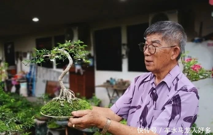  「小贩」庭院摆满逾200盆栽景 街头小贩的掌中盆景