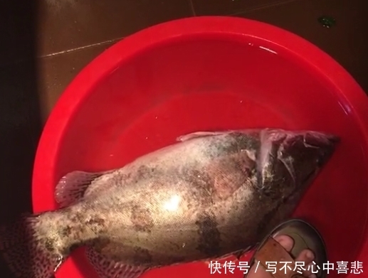 鱼竿|钓鳜鱼用什么路亚竿,新手也许已经买错了,你了解这些要求吗?
