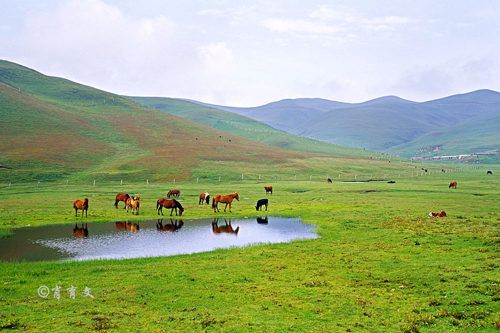 云南这里被评为全国最美地标之一，集雪域高原和大草原的美于一身