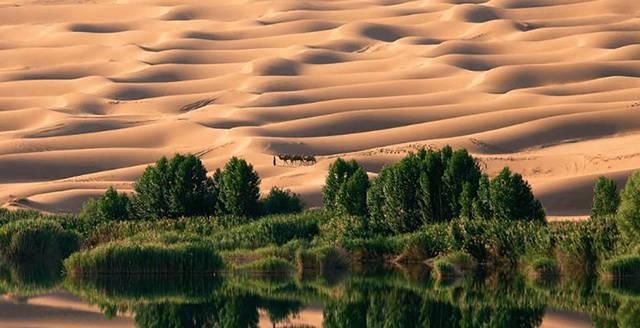  荒漠@断河复流荒漠变绿洲 中国竟成全球重大剧变受益者？