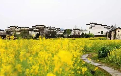 再过一个月，这些地方就美成仙境了！