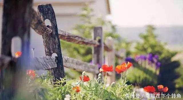  「快乐」篱笆小院住在乡村的快乐，你想体验吗！