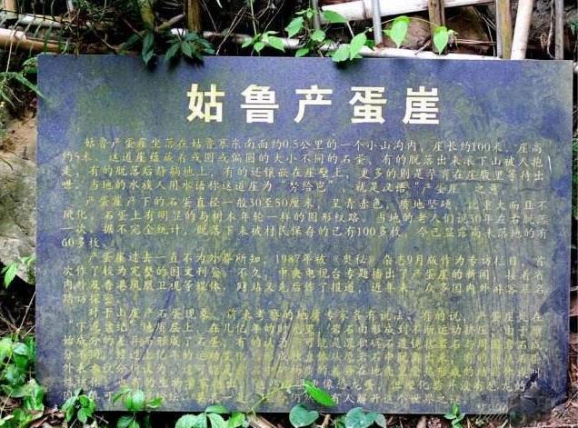 中国”神秘”的石头,每30年产下一枚蛋,产蛋之谜至今未解!