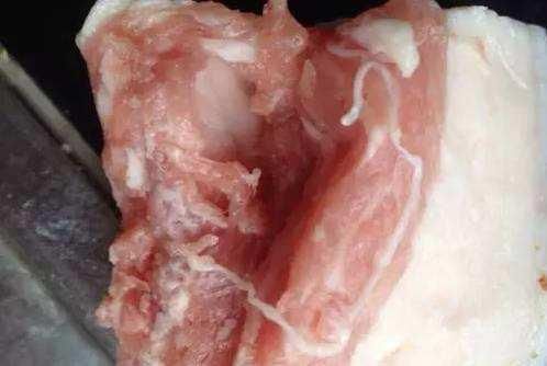 猪肉里的“白线”是什么?到底能不能放心吃，营养师说出了真相