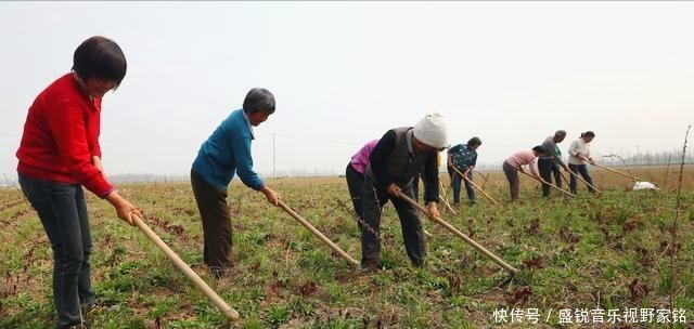  「整顿」下半年，农村土地迎整顿，3类人或被将失去土地，但愿没