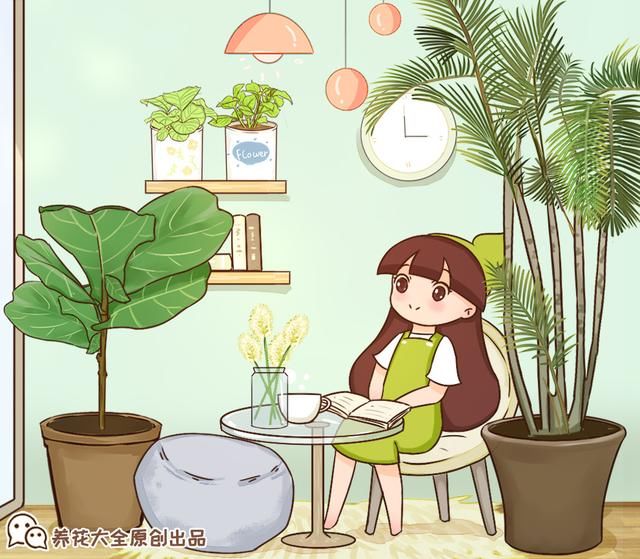  『水泥花盆』客厅养盆镇宅花，除异味、保家宅，越养家越旺！