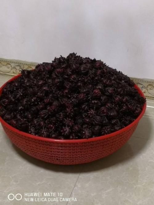  『泡茶』洛神花被称作“植物红宝石”，拿来泡茶酸甜爽口，老人孩子都喜欢
