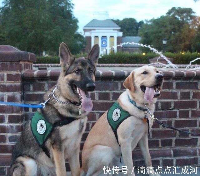  #缺一不可#兰花如何才能茁壮成长这3条缺一不可，五分钟阐述养兰心得