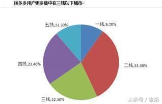 怕是越打越假 拼多多上市后 黄铮正面回应打假