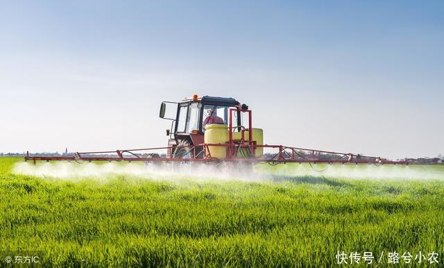 今年化肥价格上涨,推升种粮成本,另一关键因素也在阻碍农民增收