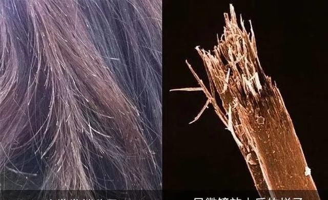 女生@壹知肤:为什么女生洗澡时间是男生的三倍长?