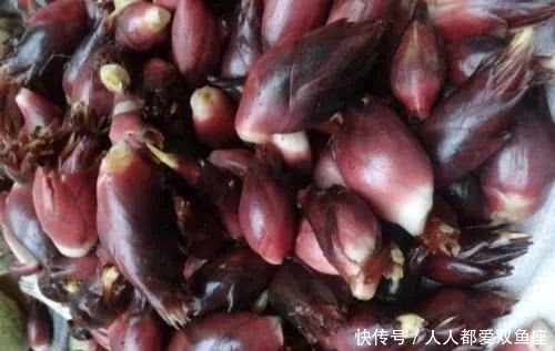  #猪饲料#农村常见的野味，过去农民把它当成猪饲料，在日本被当
