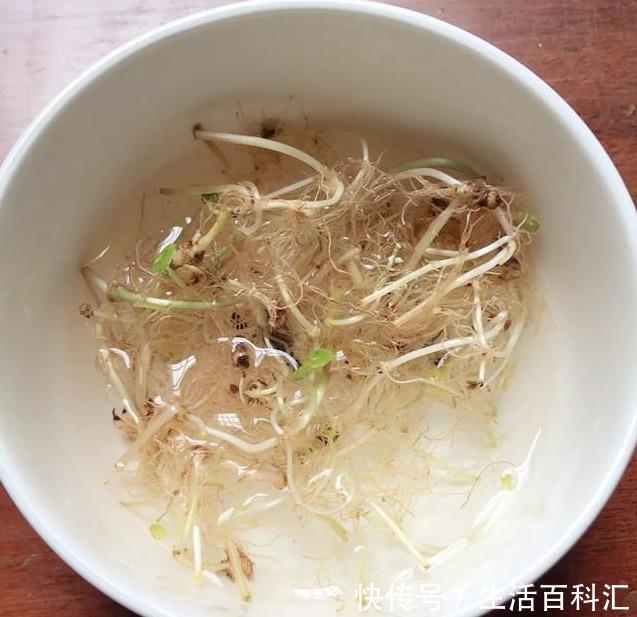  「天一」养花技巧：安全度夏水培花，天一热就养它，1杯水养爆盆