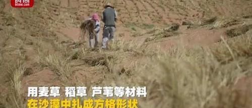  【标本】10秒钟就能种下一棵树 中国的治沙模式成世界标本