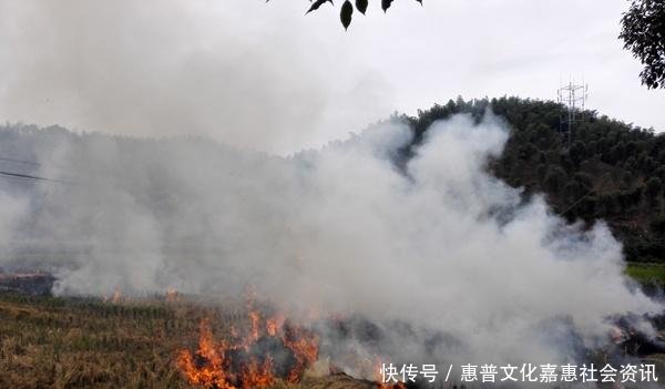 秸秆还田后庄稼为啥长不好了老农一提就怒还不都是专家搞的！