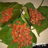  在家：喜欢上在家做的每一件事