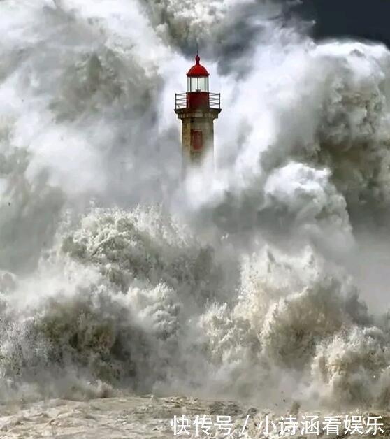 让人感到震惊的28张照片, 都不是P的