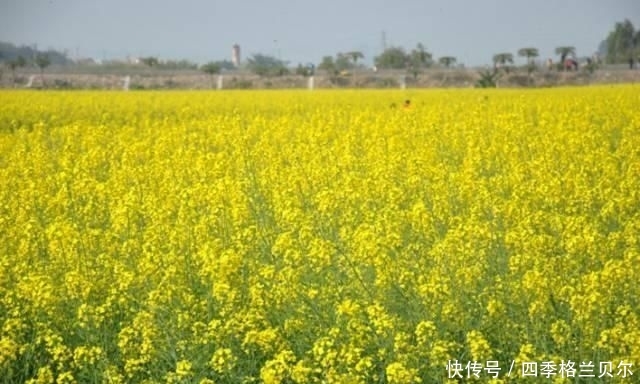  「唯一」他，是中国唯一用伟人命名的城市，是中国最适合居住的