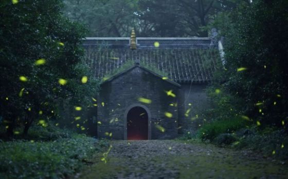 厉害了!我的大江苏上了新华日报头条!这次全国都出名了!