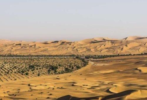 中国耗时30年将沙漠变绿洲,如今被他们“毁了”,治沙人心寒