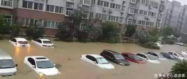 为何车主看到自己的车被泡水，却不开走？车主怒道：傻子才去开！