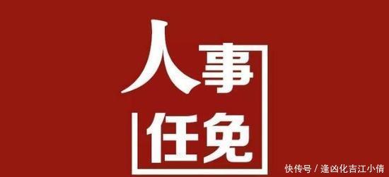  「任免」连城县人民政府关于陈冬枚等职务（职级）任免的通知