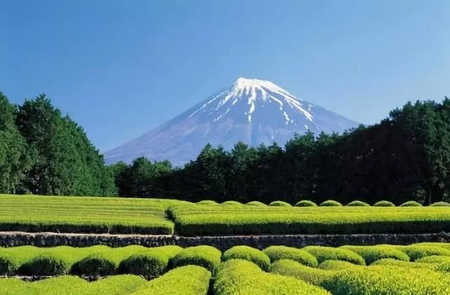  【中国】日本乡村改造给中国的启示