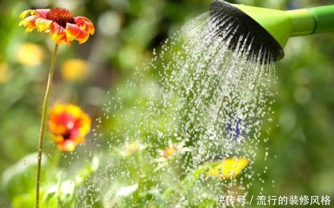  路边：野外这三种“宝贝”都是养花的好材料，路边捡点不花钱，养啥旺啥