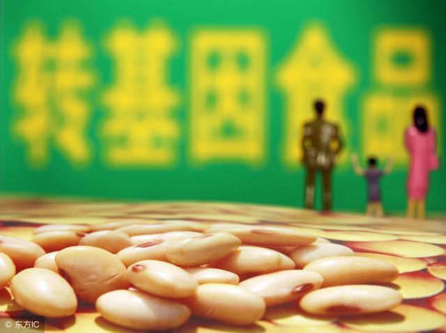 原创《哈密瓜香精与转基因食品,是啥就是啥》