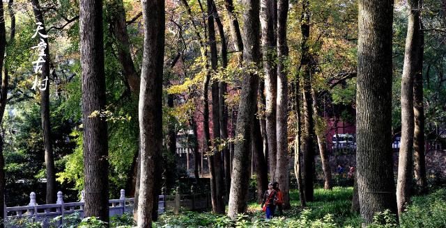 东南佛国天童寺:赴一场人与自然的对话