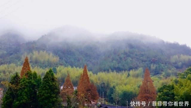 福建与浙江最老的古道，沿线风景秀丽，却鲜为人知