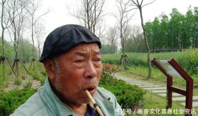 秸秆还田后庄稼为啥长不好了老农一提就怒还不都是专家搞的！