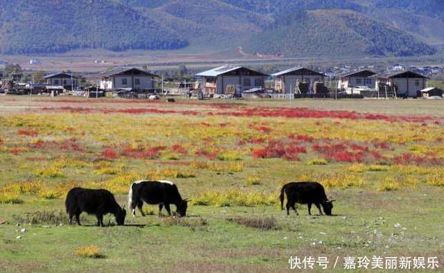 云南最聪明的县级市，经济不好马上改名，现在的名气比省会还高