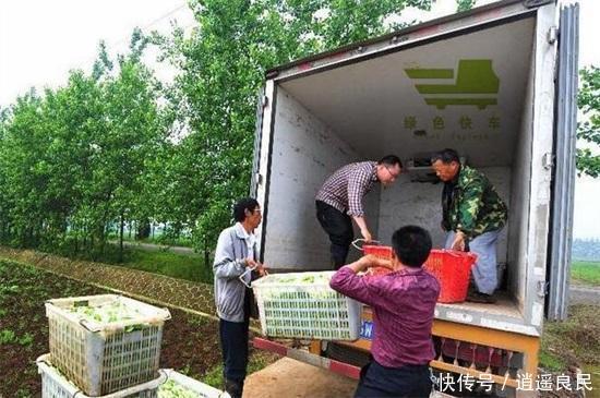  「市场」农村最缺什么市场，十种投资回报大的农村项目