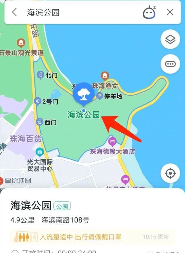 公园的向:超罕见白色、黑色向日葵!8千㎡花海!就藏在珠海市区!