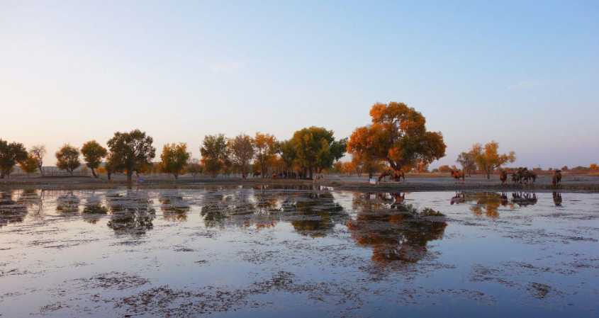 中国最长寿的小镇,平均寿命在80-90岁,却在一个沙漠里