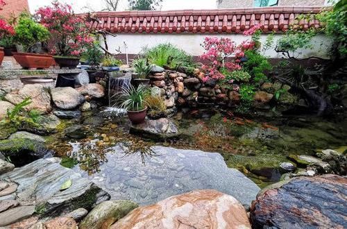  花园@想回到农村，把老家改造成花园，庭前种花，屋后种菜！